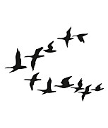 Šablóna Odlietajú ST518